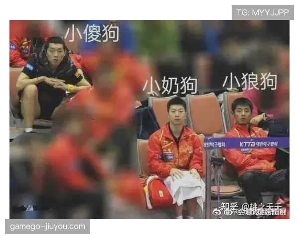 许昕家的狗吃的都比我一个月工资高